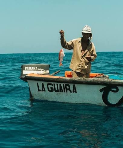 Pescador artesanal trabajando frente a la costa de La Guaira
